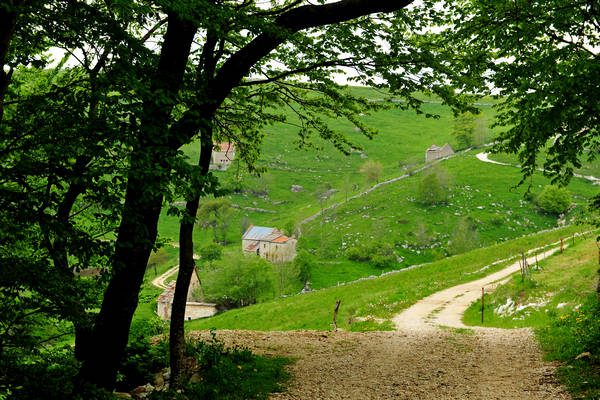 Madonna delle Lobbie a malga Lobbia, Pagani Campofontana, Selva di Progno