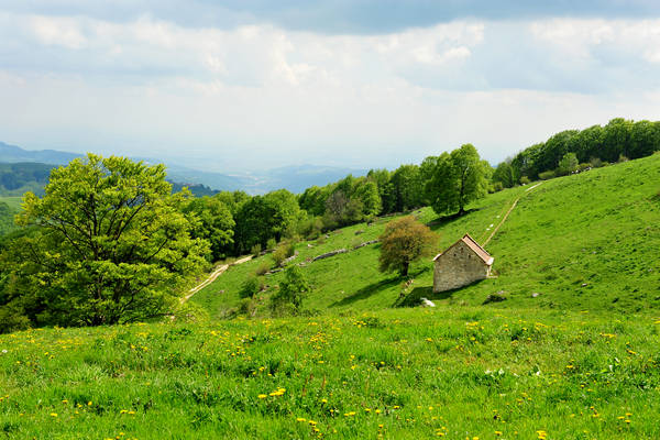 Madonna delle Lobbie a malga Lobbia, Pagani Campofontana, Selva di Progno