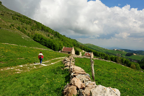 Madonna delle Lobbie a malga Lobbia, Pagani Campofontana, Selva di Progno