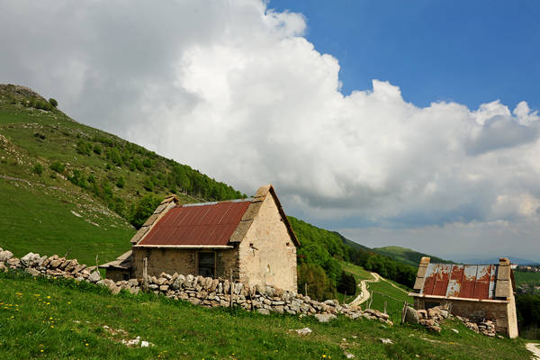 Madonna delle Lobbie a malga Lobbia, Pagani Campofontana, Selva di Progno