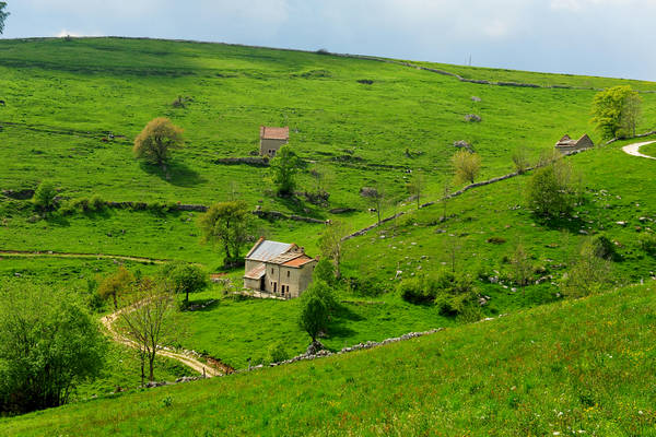 Madonna delle Lobbie a malga Lobbia, Pagani Campofontana, Selva di Progno