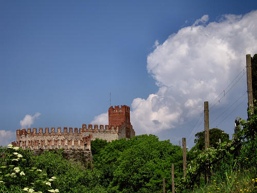 Soave, Castello Scaligero