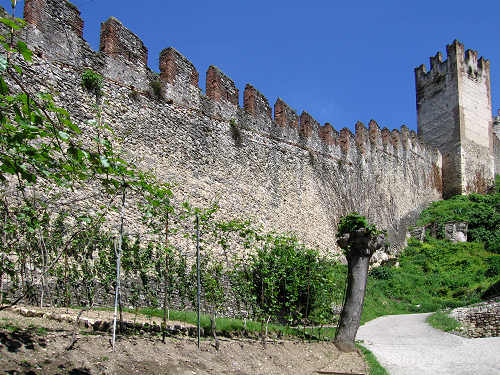 Soave, Castello Scaligero