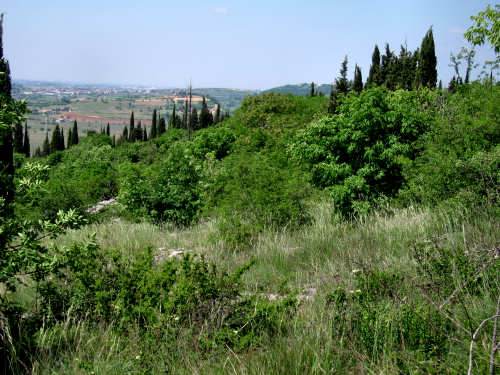 Sentiero Natura di Soave