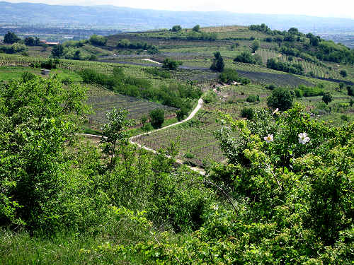 Sentiero Natura di Soave
