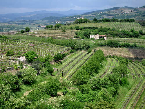 Sentiero Natura di Soave