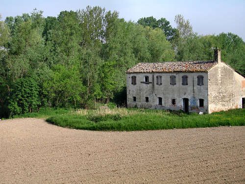 argine Roncajette del fiume Bacchiglione - da Padova a Bovolenta