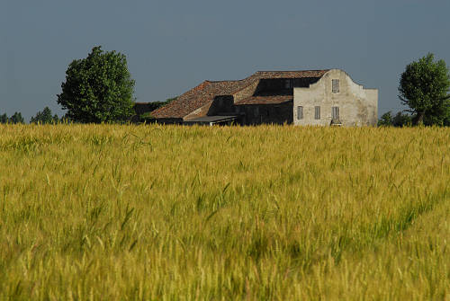 Abbazia di Carceri d'Este