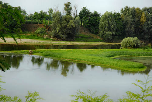 fiume Brenta a Pieve di Curtarolo