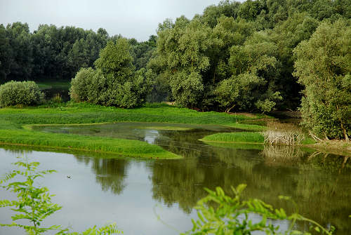 fiume Brenta a Pieve di Curtarolo