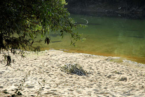 fiume Brenta a Pieve di Curtarolo