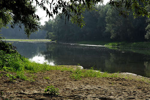 fiume Brenta a Pieve di Curtarolo