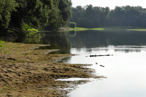 fiume Brenta a Pieve di Curtarolo