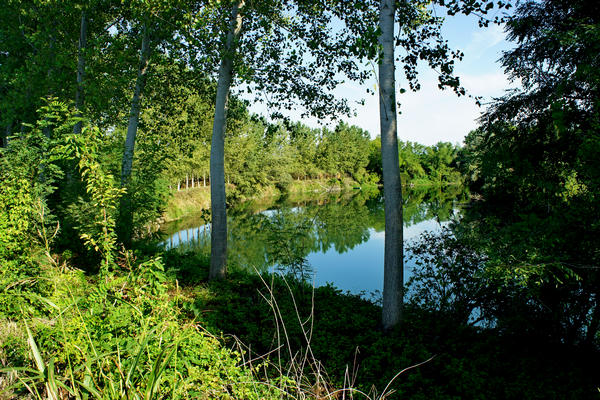 Fiume Brenta Alta Padovana, Muson dei Sassi, Ostiglia Ciclabile