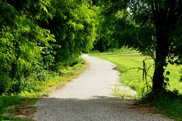 Fiume Brenta Alta Padovana, Muson dei Sassi, Ostiglia Ciclabile