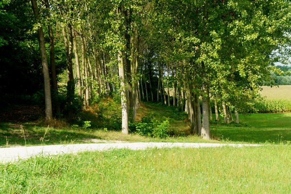 Fiume Brenta Alta Padovana, Muson dei Sassi, Ostiglia Ciclabile