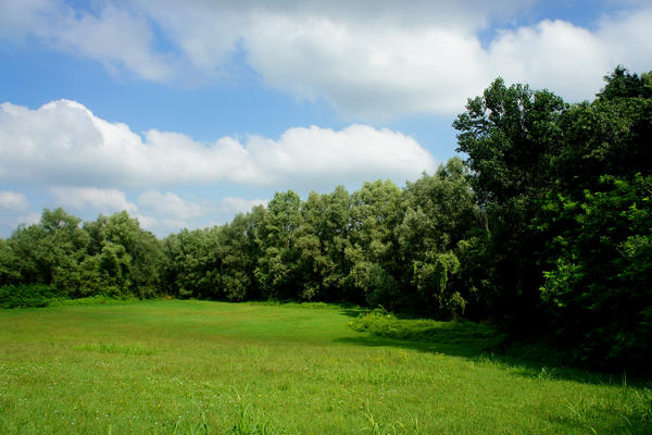 Fiume Brenta Alta Padovana, Muson dei Sassi, Ostiglia Ciclabile