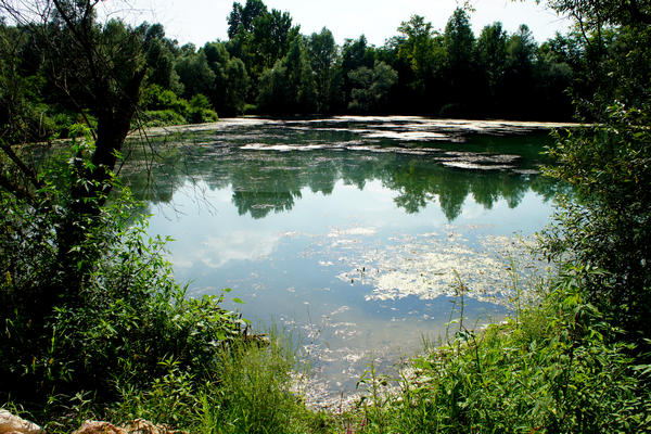 Fiume Brenta Alta Padovana, Muson dei Sassi, Ostiglia Ciclabile