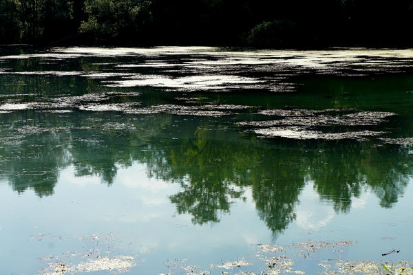 Fiume Brenta Alta Padovana, Muson dei Sassi, Ostiglia Ciclabile