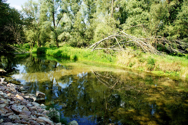 Fiume Brenta Alta Padovana, Muson dei Sassi, Ostiglia Ciclabile