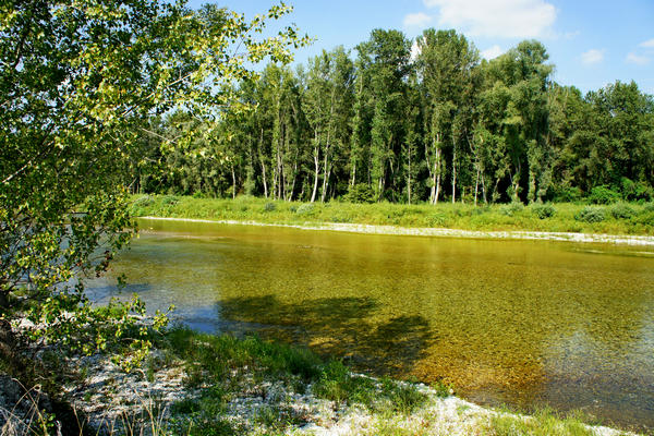 Fiume Brenta Alta Padovana, Muson dei Sassi, Ostiglia Ciclabile