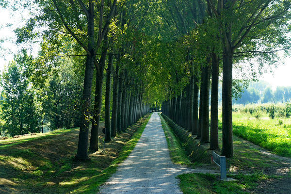 Fiume Brenta Alta Padovana, Muson dei Sassi, Ostiglia Ciclabile