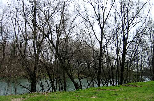 Fiume Brenta