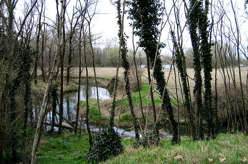 Fiume Brenta