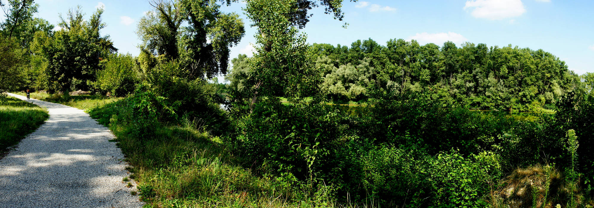area naturalistica fiume Brenta a Carturo