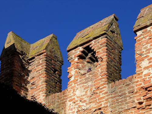 Montagnana - Rocca degli Alberi