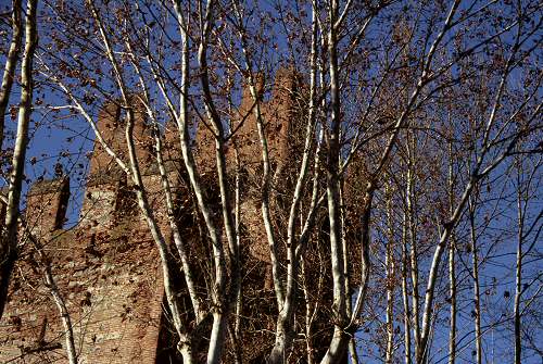 Montagnana - Rocca degli Alberi