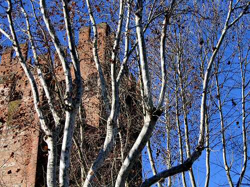 Montagnana - Rocca degli Alberi