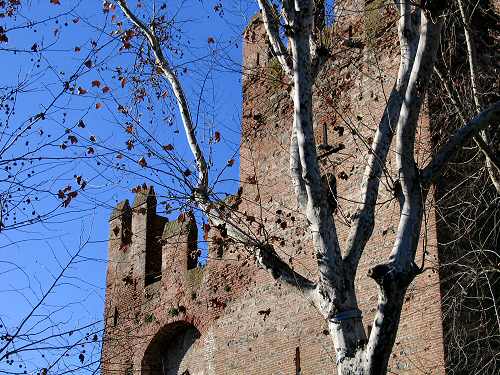 Montagnana - Rocca degli Alberi