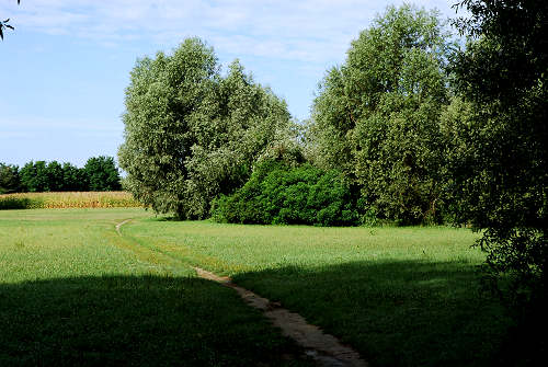 area naturalistica del Brenta a Piazzola sul Brenta