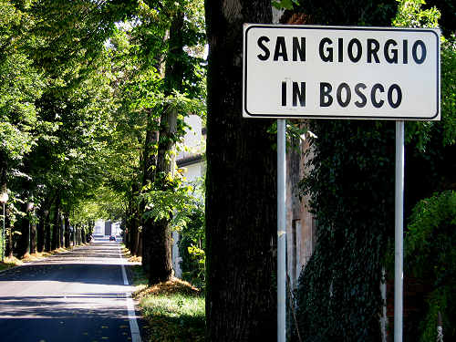 San Giorgio in Bosco
