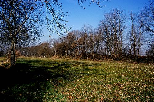 Motte - San Martino di Lupari