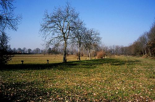 Motte - San Martino di Lupari