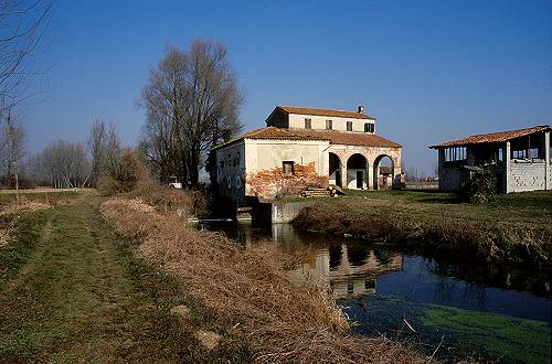 Palude di Onara a Tombolo, risorgive del fiume Tergola