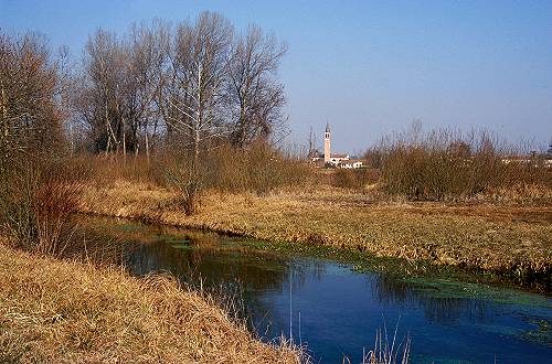 Palude di Onara a Tombolo, risorgive del fiume Tergola