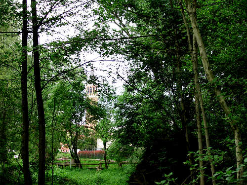 Palude di Onara a Tombolo, risorgive del fiume Tergola