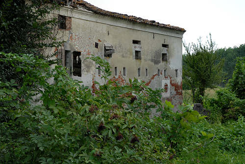 Palude di Onara a Tombolo, risorgive del fiume Tergola