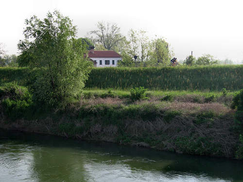 argine Roncajette del fiume Bacchiglione - da Padova a Bovolenta