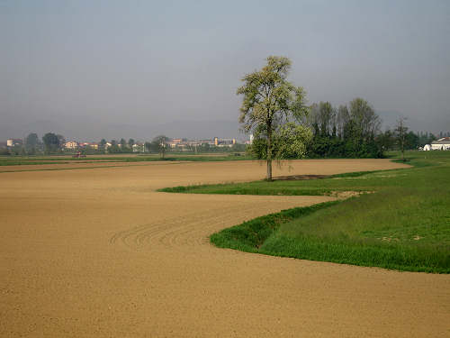 argine Roncajette del fiume Bacchiglione - da Padova a Bovolenta