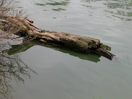 Padova - Canale Scaricatore e Canale San Gregorio