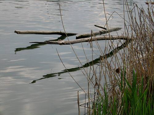 Padova - Canale Scaricatore e Canale San Gregorio