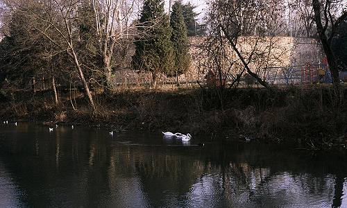 Padova - canali d'acqua