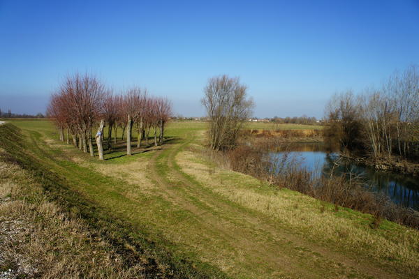 Il fiume Bacchiglione tra Selvazzano e Veggiano