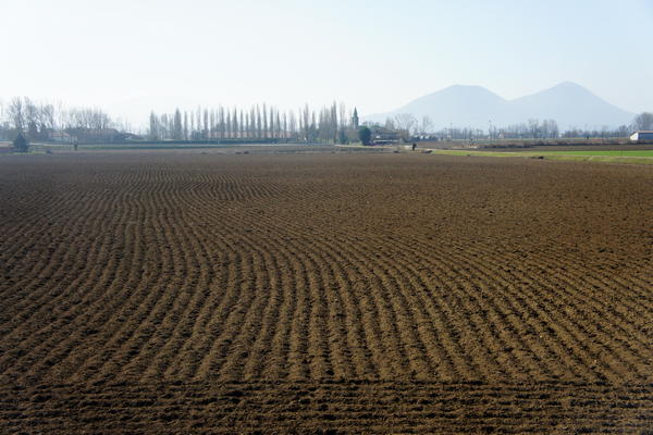 Il fiume Bacchiglione tra Selvazzano e Veggiano