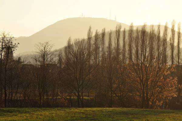 Percorso Nordic Walking del Bacchiglione
