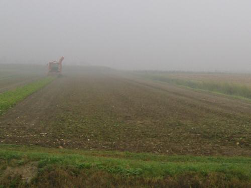 Brenta d'Abb&agrave; - Correzzola